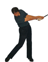 �S���t��B�@�S���t�X�C���O�A���ʐ^