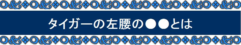 �S���t��B�@�̃X�C���O