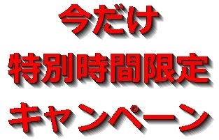 ���������ʉ��i�摜