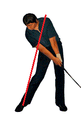 �S���t��B�@�S���t�X�C���O�A���ʐ^